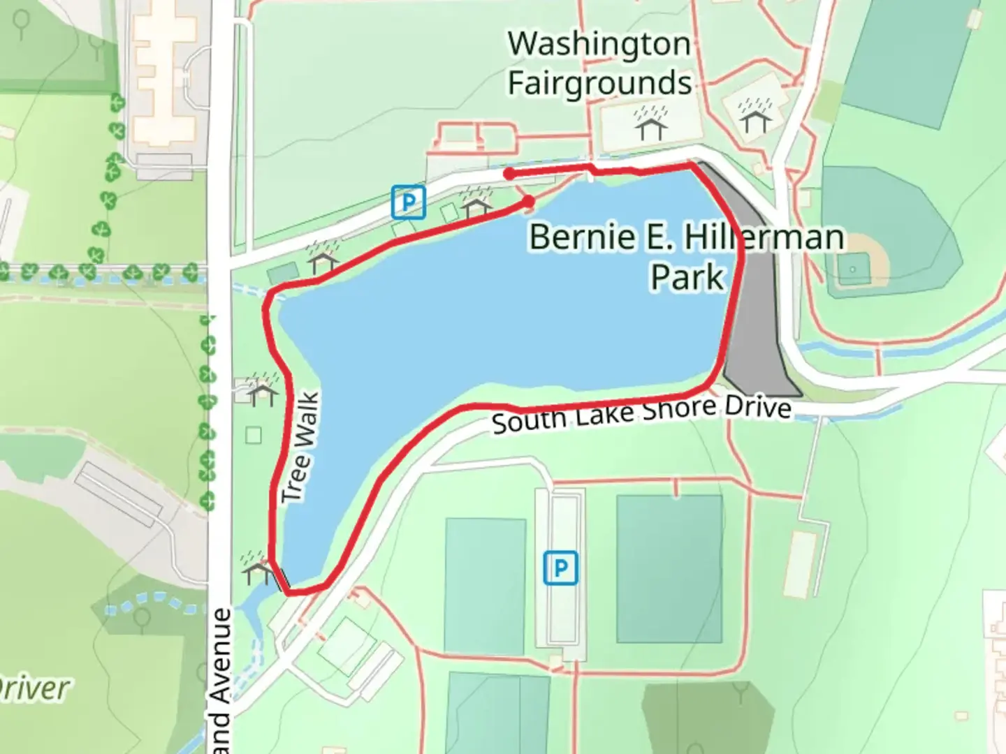 An image depicting the trail Lions Lake Loop via Tree Walk and its surrounding area.