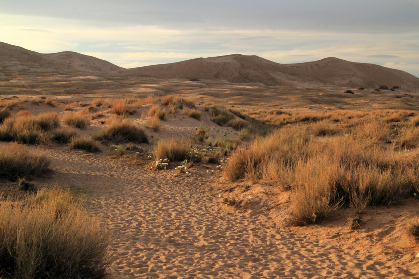 An image depicting the trail Kelso Dunes Trail and its surrounding area.