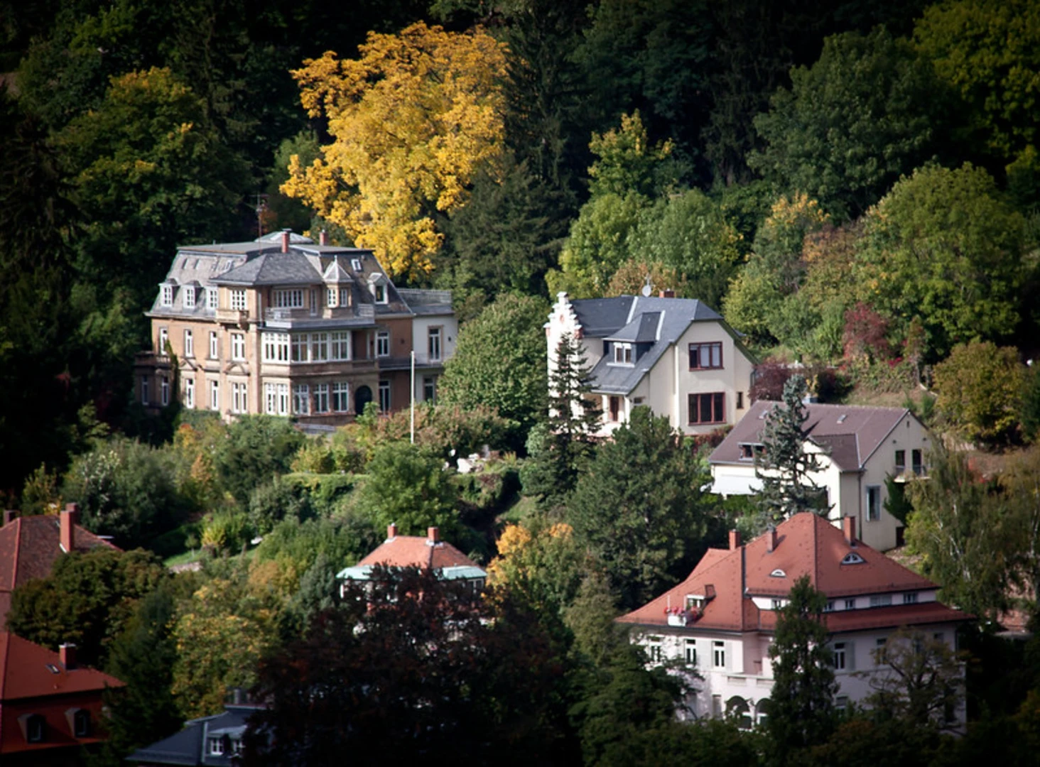 An image depicting the trail Talsperre Naustadt via Wanderweg-rotes Quadrat and rotes Kreuz and its surrounding area.