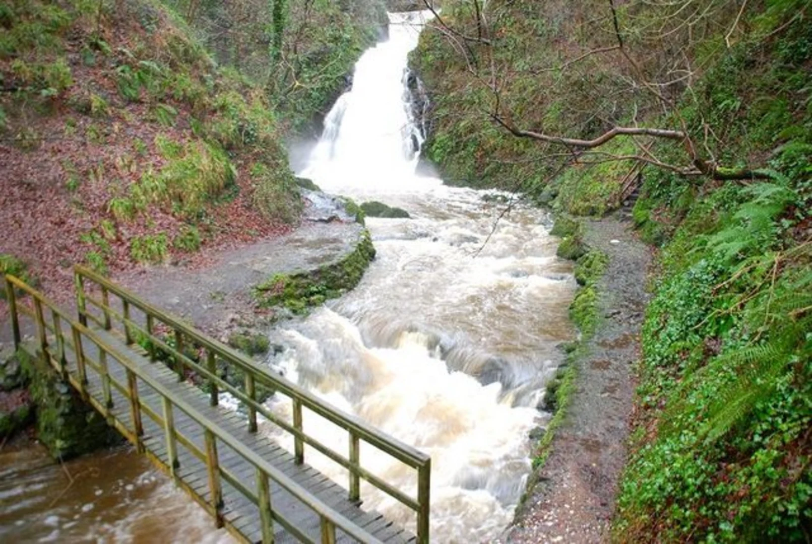 An image depicting the trail Glenoe Waterfall and its surrounding area.