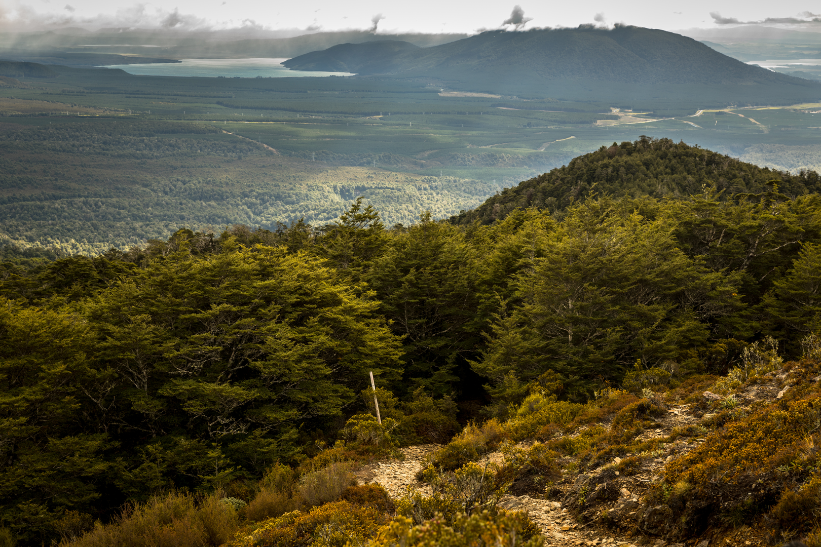An image depicting the trail Urchin to Umukarikari Loop and its surrounding area.