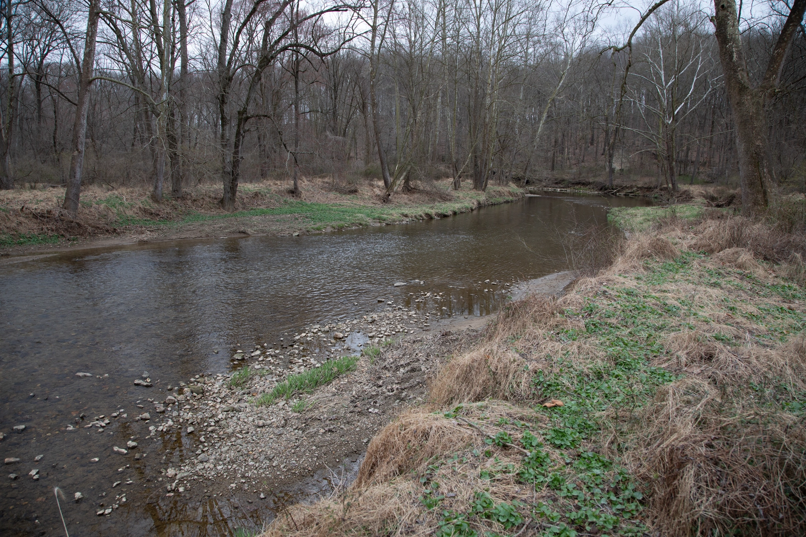 An image depicting the trail Big Elk Creek via Springlawn Trail and its surrounding area.