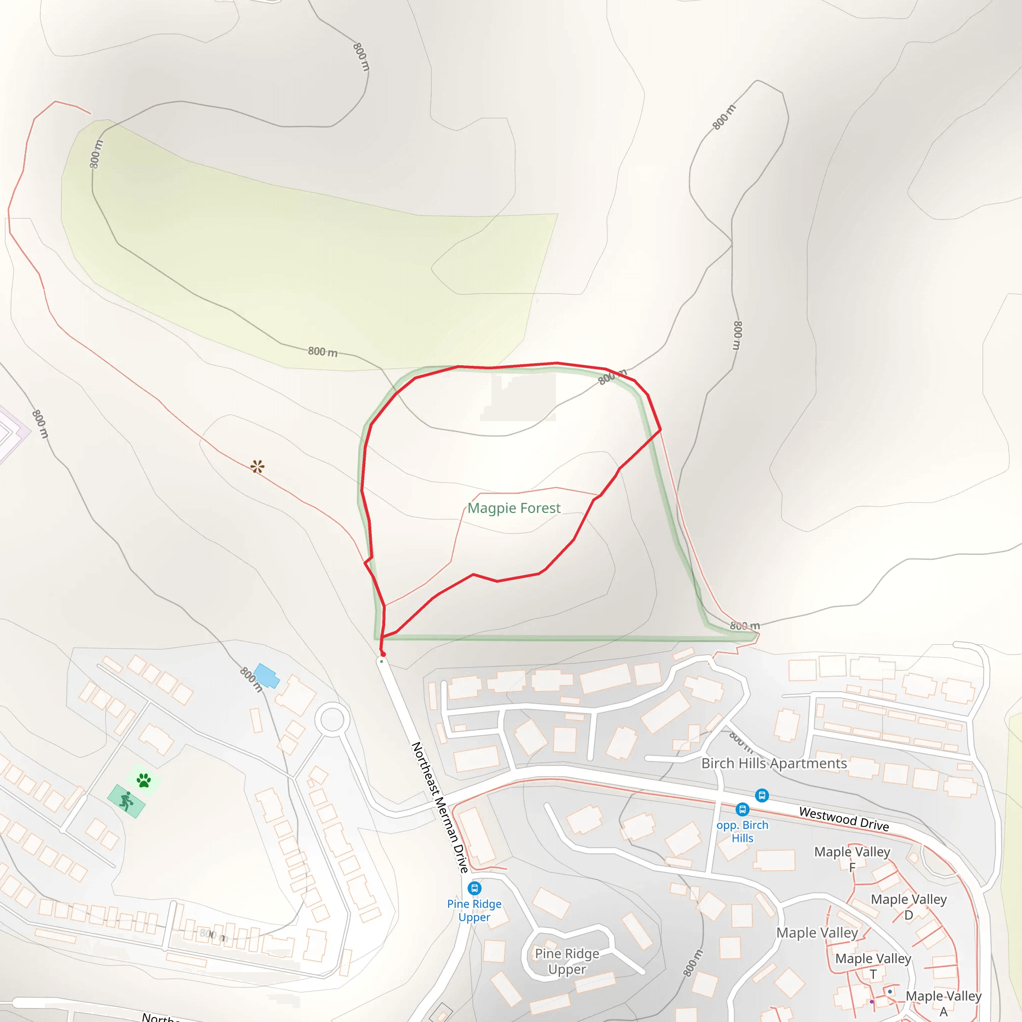 Northeast Merman Drive Loop mobile static map