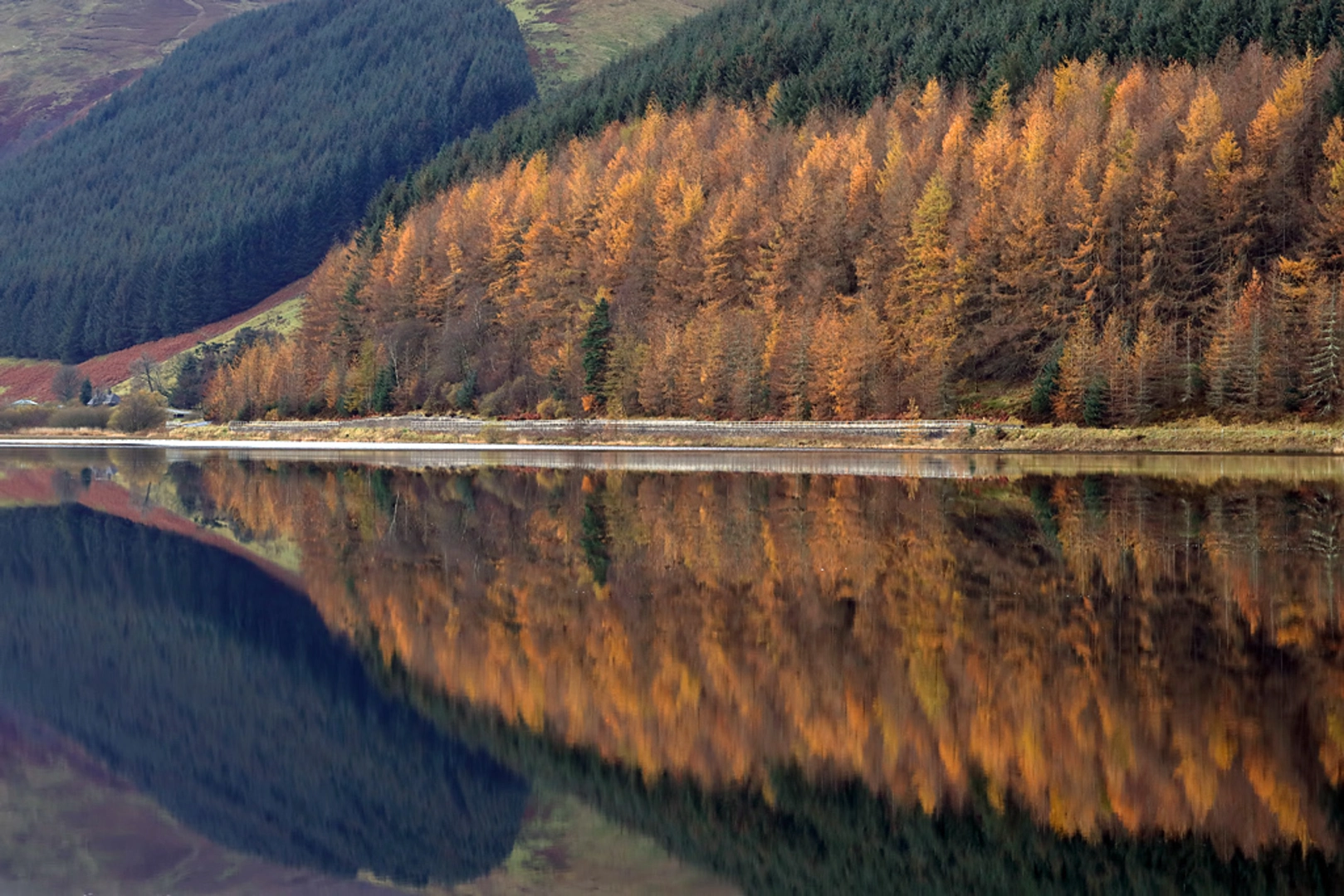 An image depicting the trail Loch of the Lowes, Peniestone Knowe and Ward Law Loop and its surrounding area.