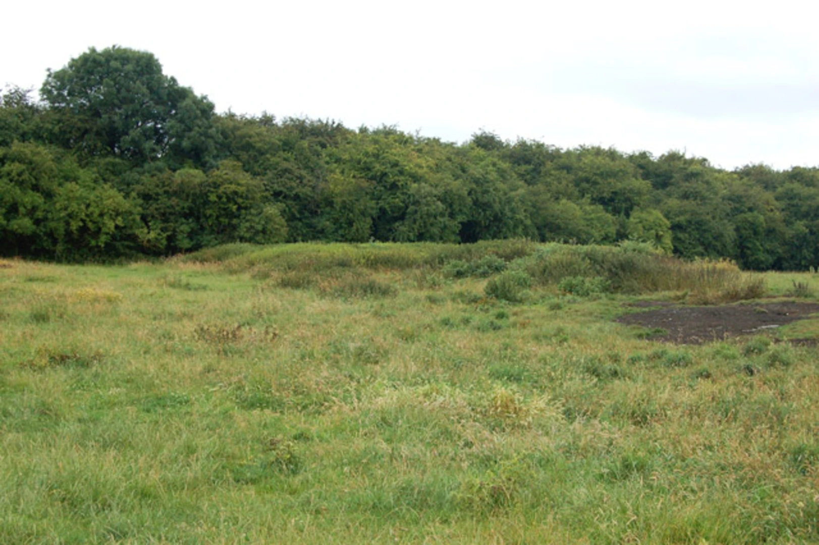 An image depicting the trail Weldon Loop and its surrounding area.