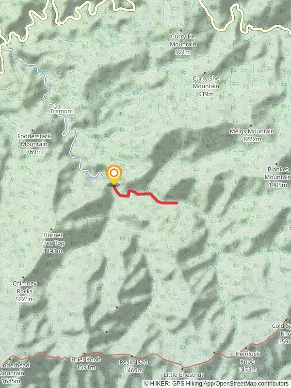 Middle Prong Trail to Lynn Camp Prong