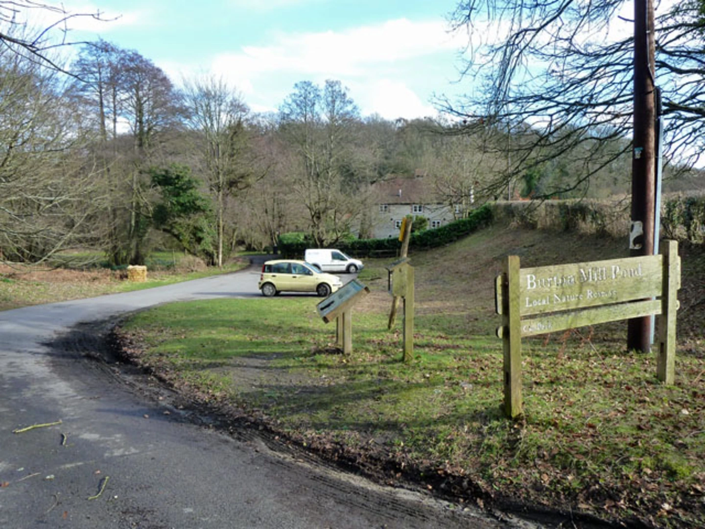 An image depicting the trail Burton Mill Pond Loop and its surrounding area.