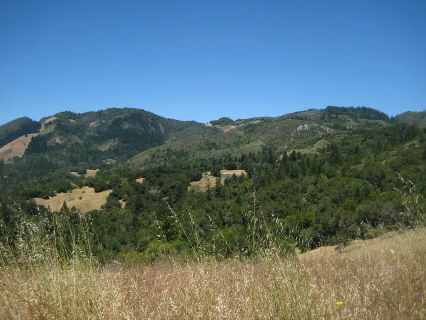 An image depicting the trail Lower Bald Mountain Trail, Red Mountain Trail and Headwaters Loop Trail and its surrounding area.