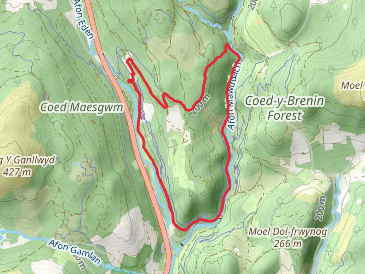 An image depicting the trail Coed Y Brenin Forest Park Walk and its surrounding area.