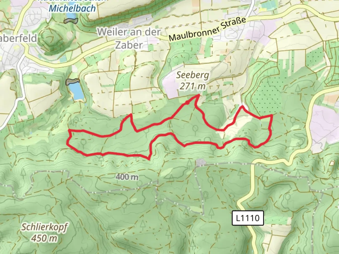 An image depicting the trail Rodbachhof Loop and its surrounding area.