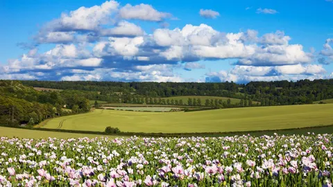 An image depicting the trail Midshires Way and its surrounding area.