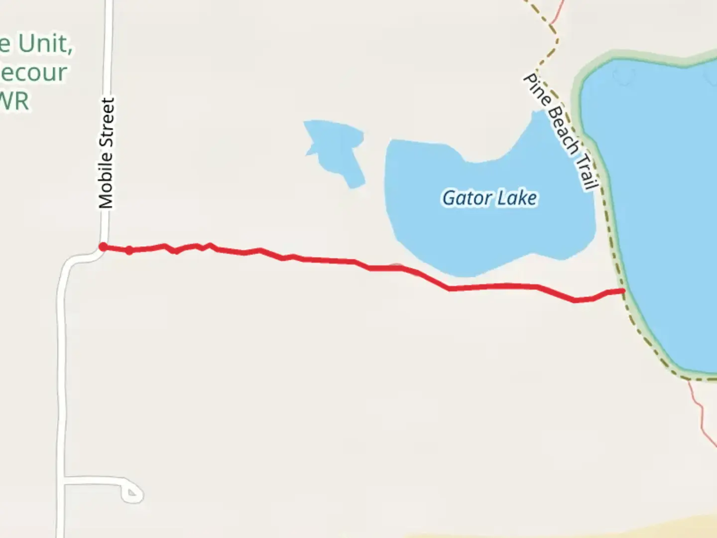 An image depicting the trail Gator Lake from Mobile Street and its surrounding area.