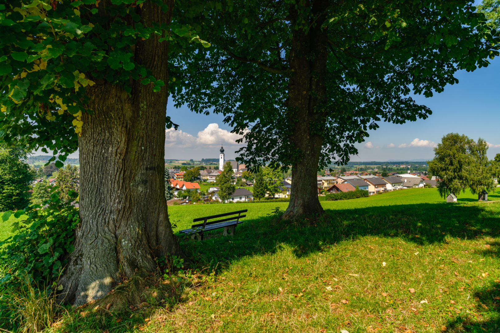 An image depicting the trail Aumühle Winter Hike and its surrounding area.