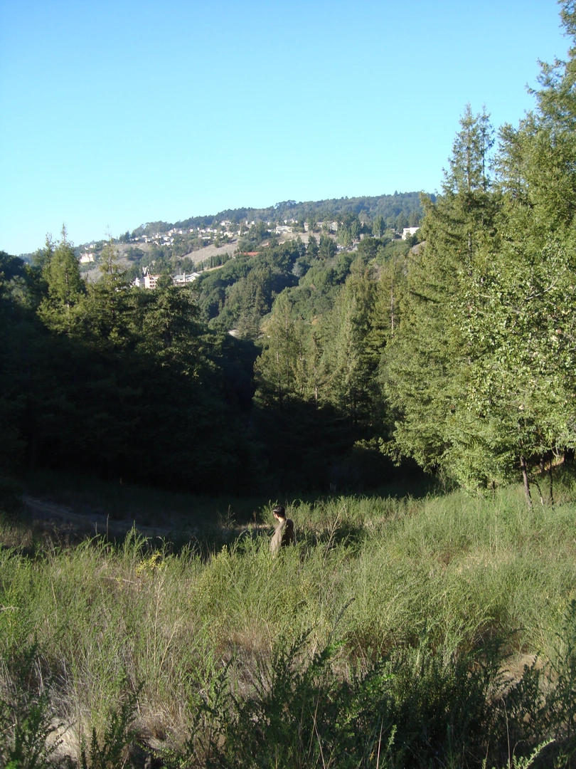 An image depicting the trail York and McDonell Loop Trail and its surrounding area.