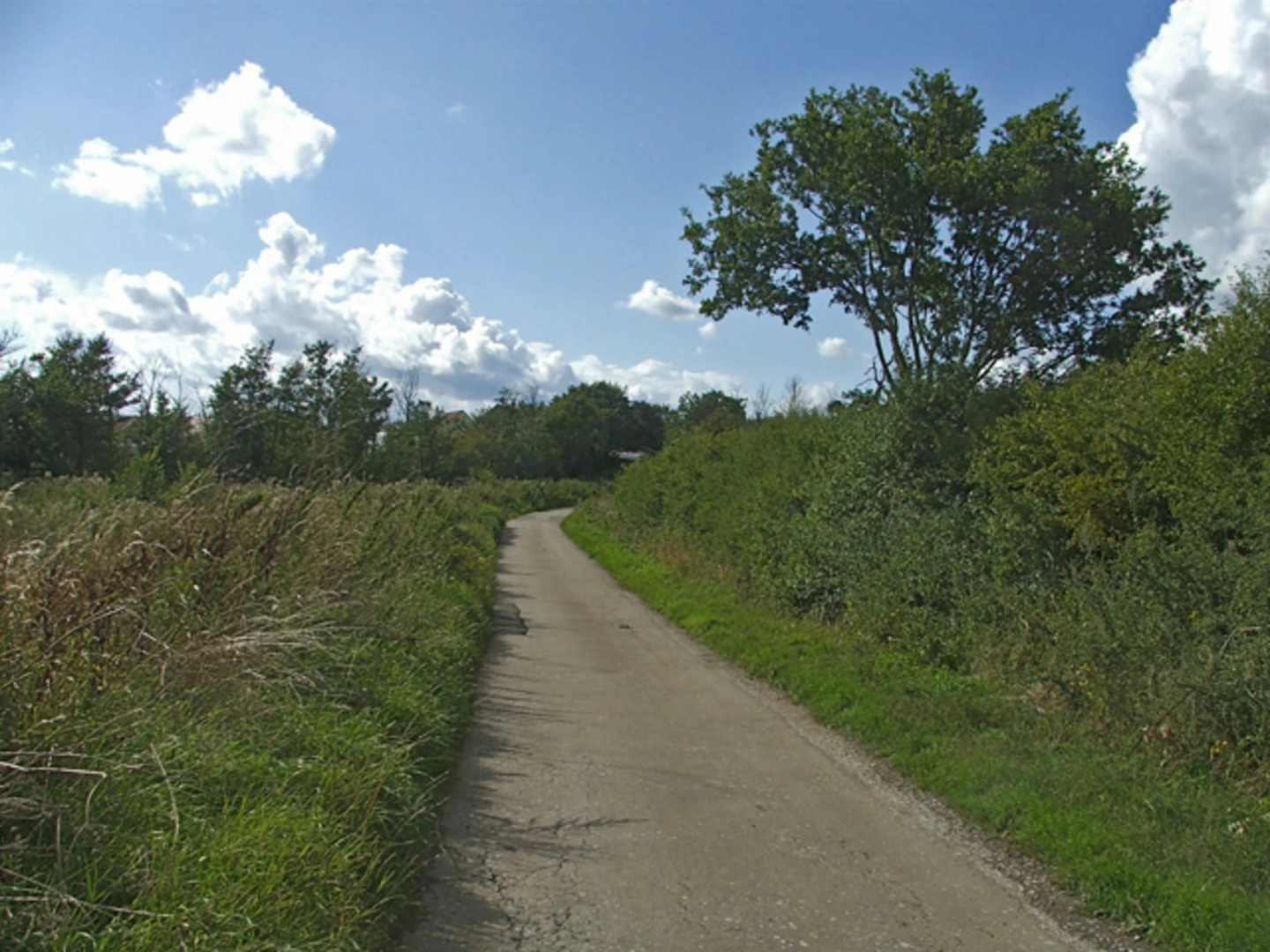 An image depicting the trail Brambly Shaw and Copthall Green Loop and its surrounding area.