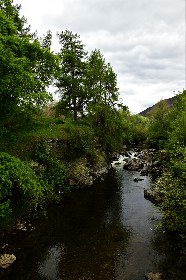 An image depicting the trail Morrone Trail and its surrounding area.