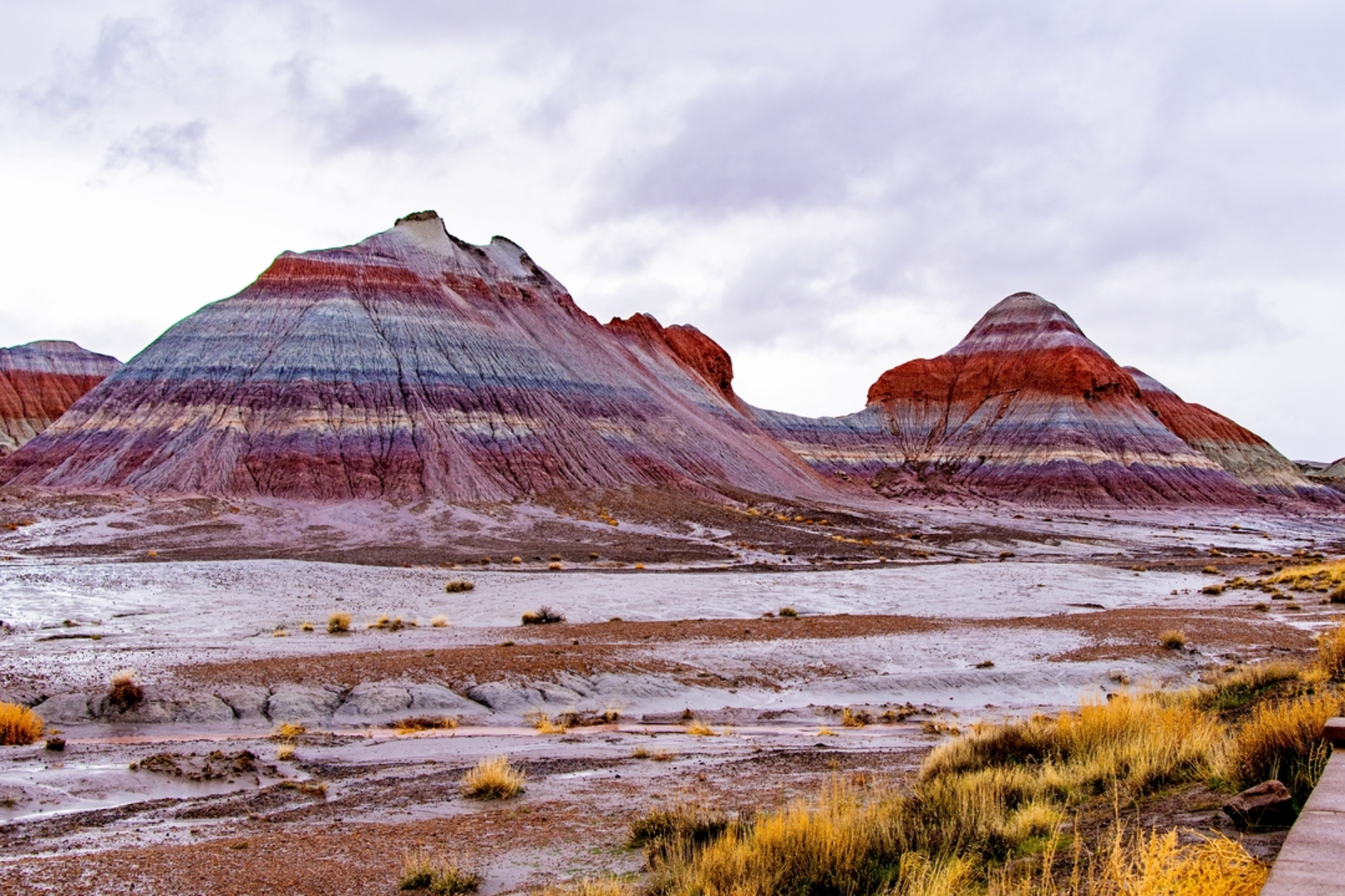 An image depicting the trail Historic Blue Forest Trail and its surrounding area.