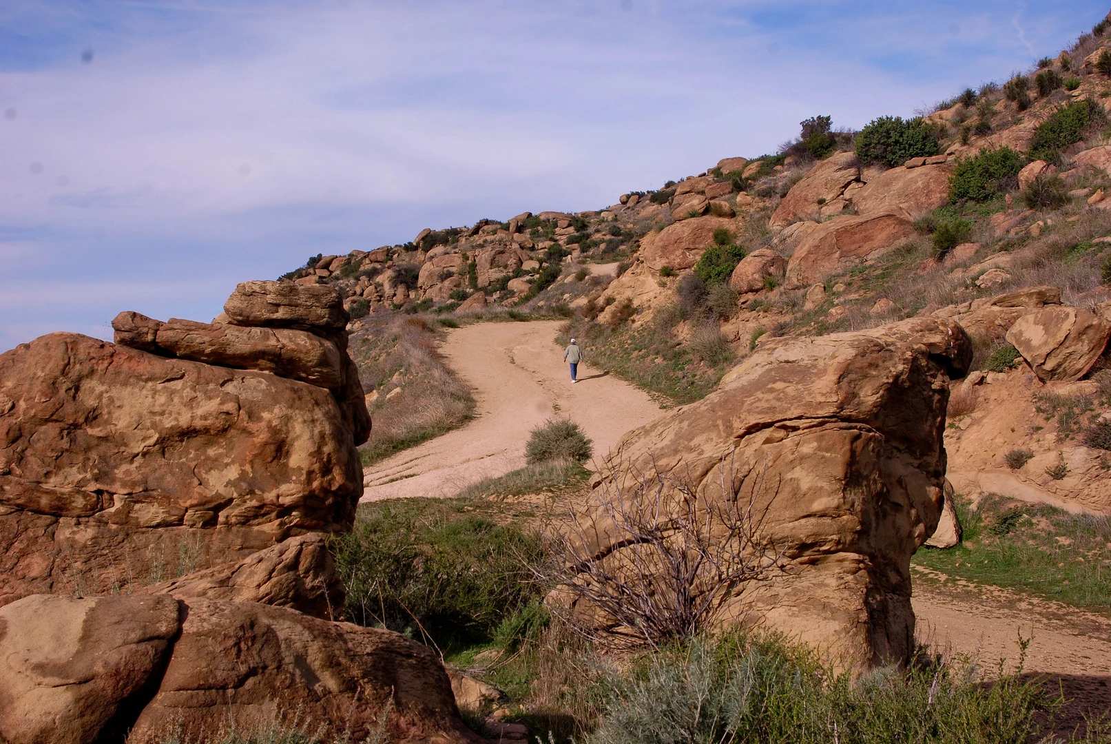 An image depicting the trail Chumash and Las Llajas Canyon Loop Trail and its surrounding area.