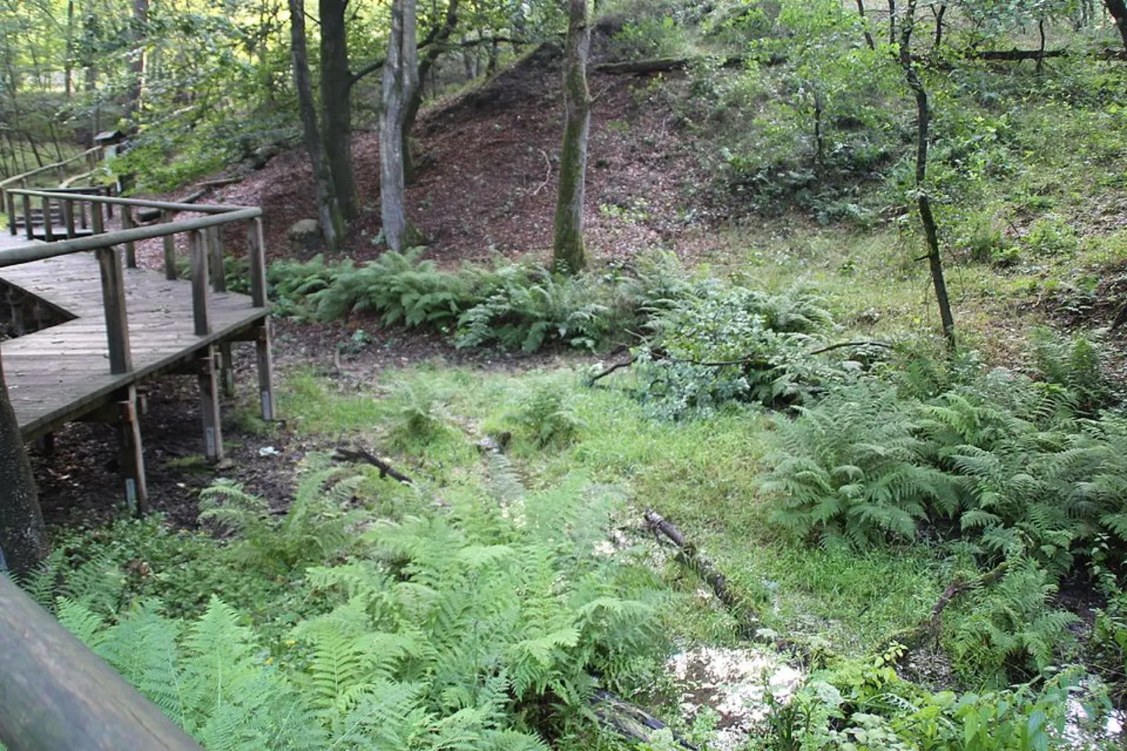 An image depicting the trail Aussichtsplattform Emsquelle via Heideland Rundwanderweg and Emsquellen Rundwanderweg and its surrounding area.