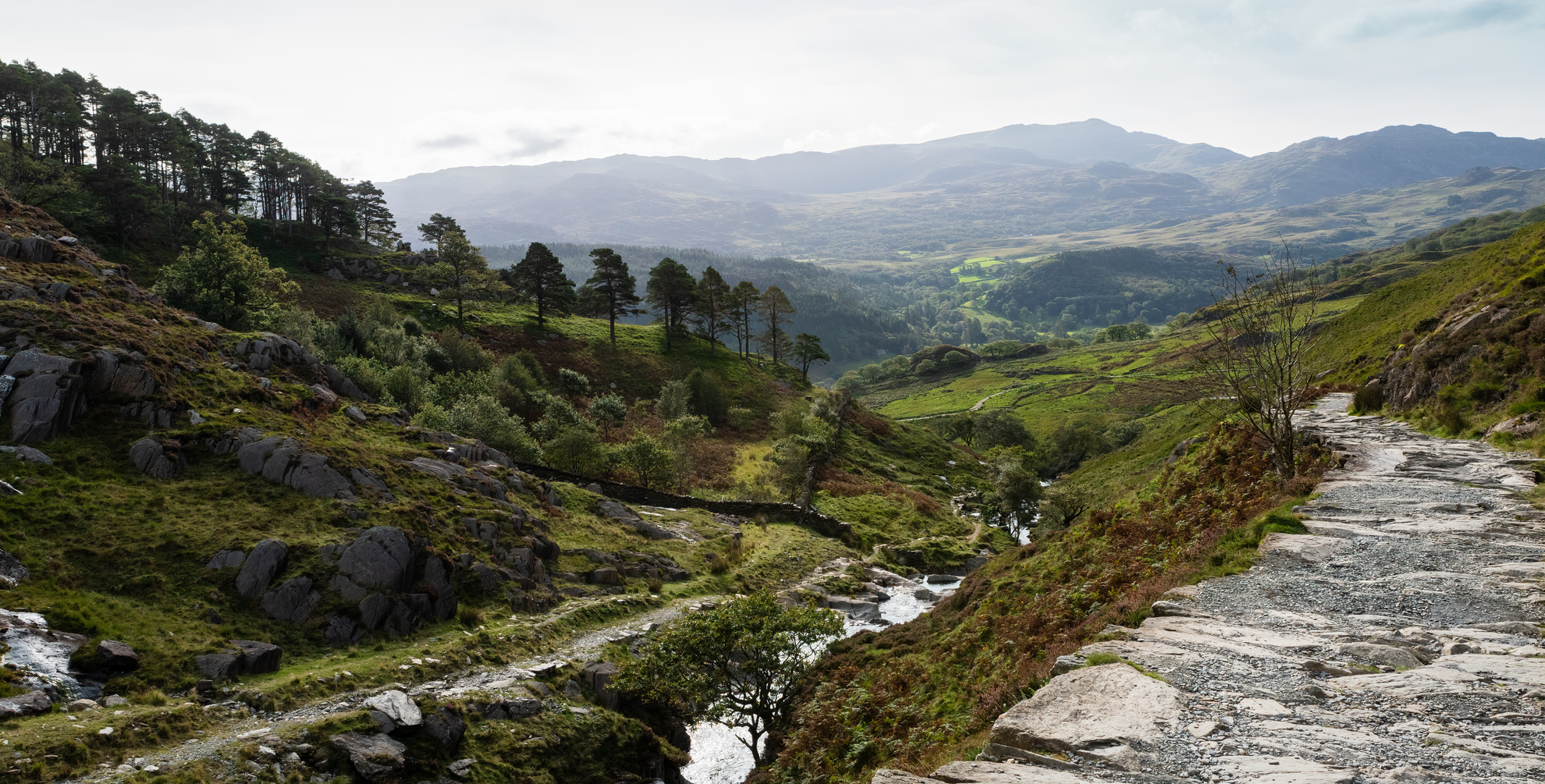 An image depicting the trail Watkin Path and its surrounding area.