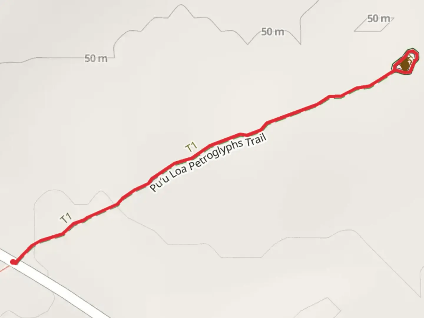 An image depicting the trail Puʻu Loa Petroglyphs Trail and its surrounding area.