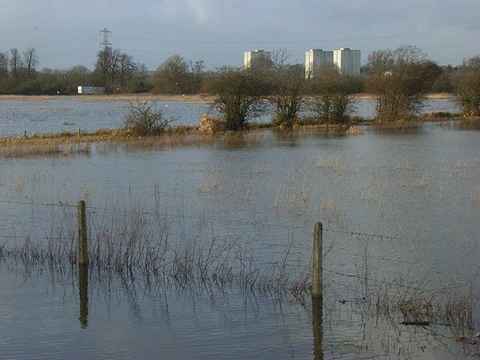 Fobney Island Wetland Nature Reserve Loop