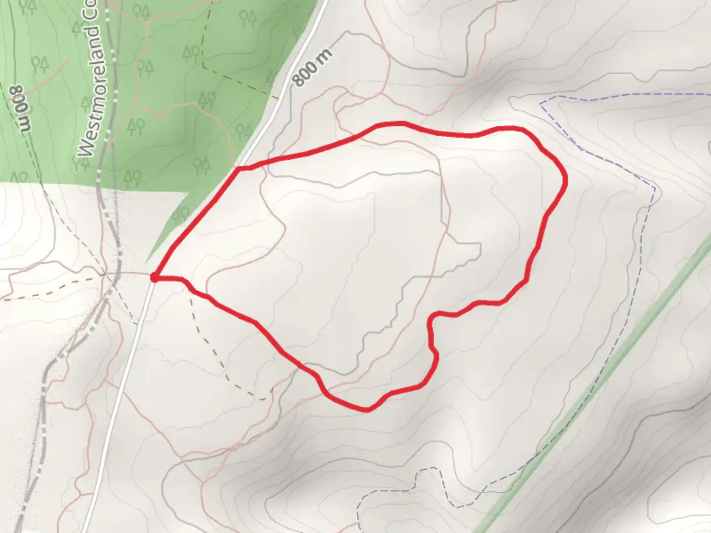 An image depicting the trail Laurel Highlands Hiking Loop Trail and its surrounding area.