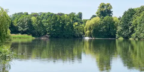An image depicting the trail Calke Park and Calke Abbey and its surrounding area.