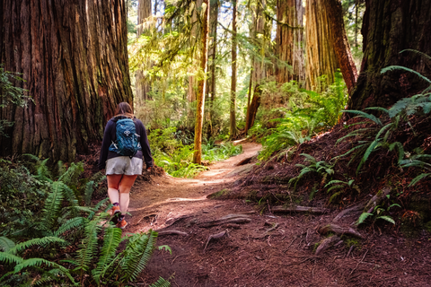 Smith River and Miller Creek