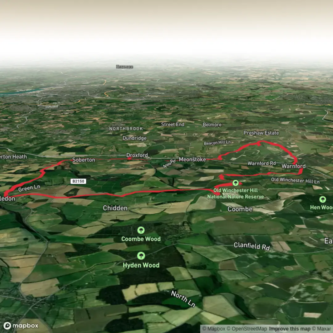 An image depicting the trail Old Winchester Hill, Beacon Hill Beeches and Soberton Down Loop and its surrounding area.