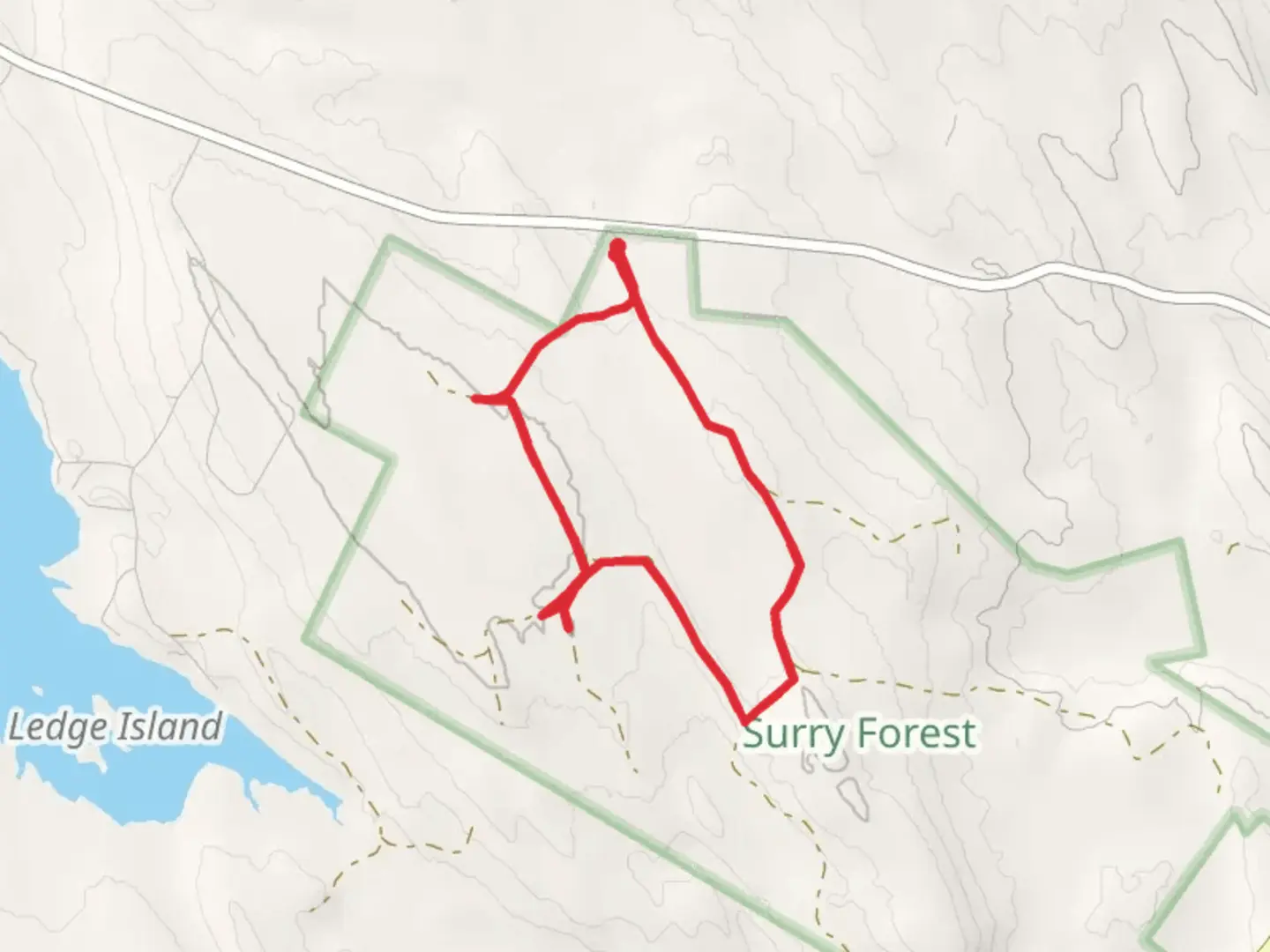 An image depicting the trail Toddy Pond Road Loop and its surrounding area.