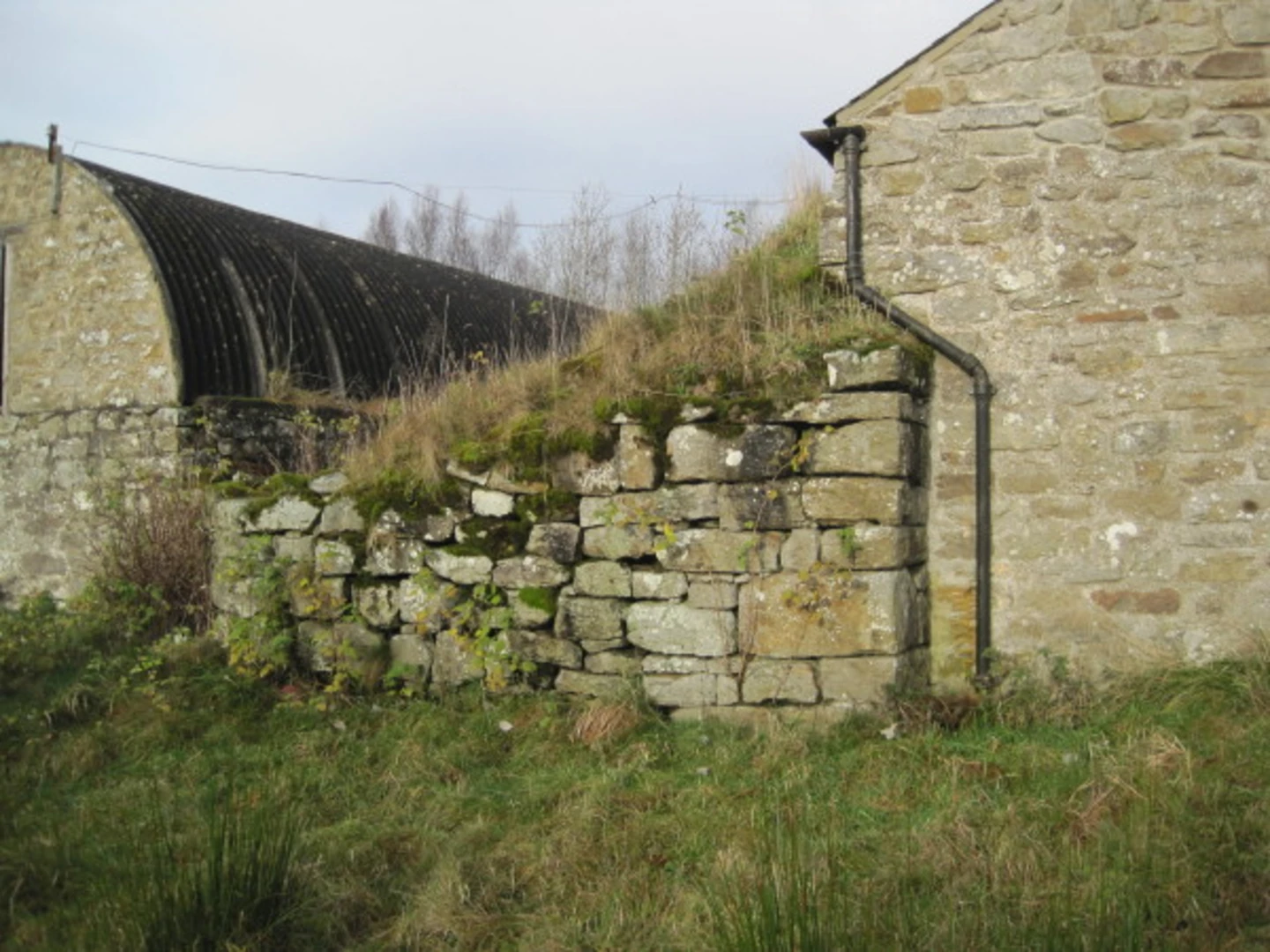 An image depicting the trail Rye Close Wood Loop and its surrounding area.