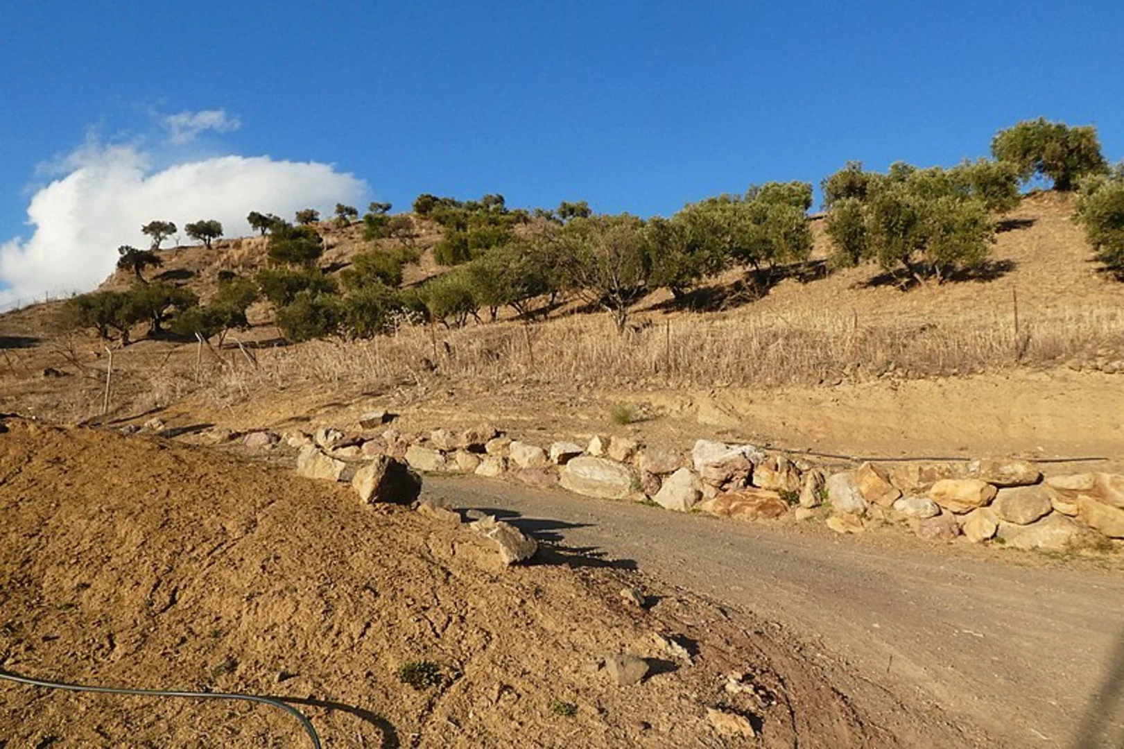 An image depicting the trail Cerro del Calvario - Chaplain - Turón and its surrounding area.