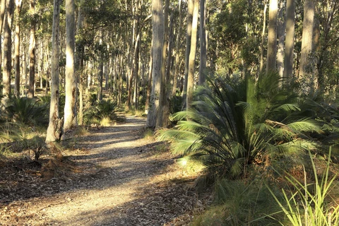 Square Head Track - 2