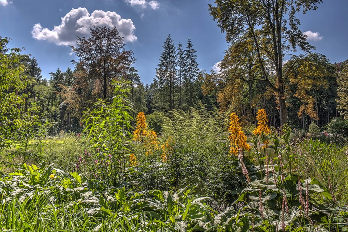 Bad Lippspringe Loop