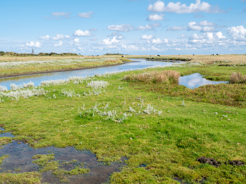 Schiermonnikoog and Waterstaatspad Loop