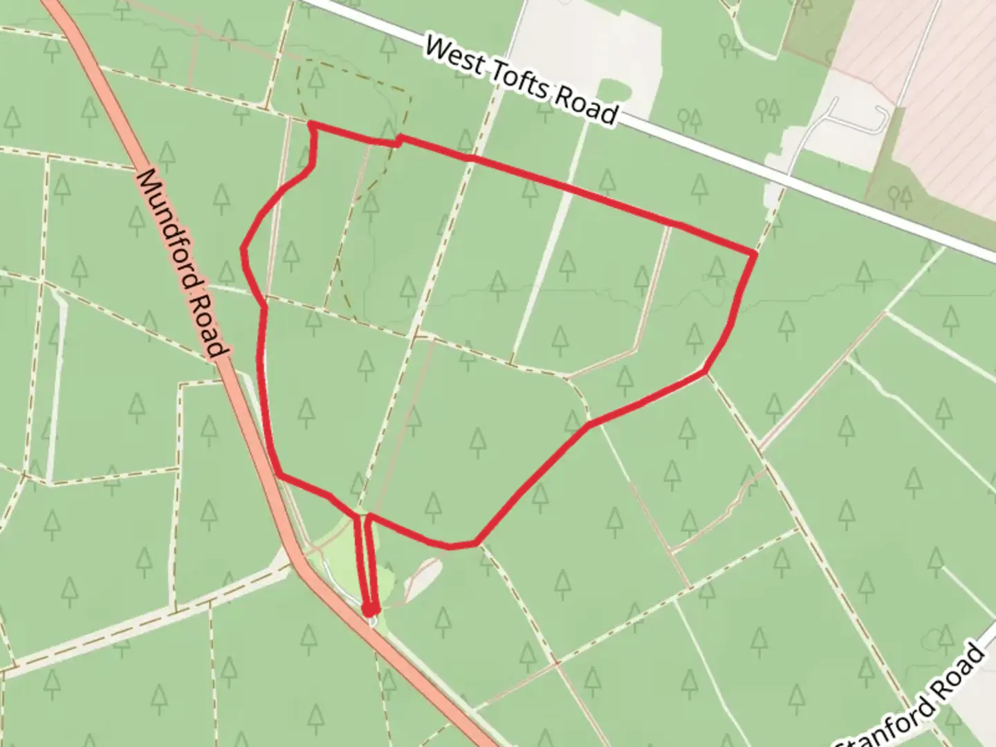 An image depicting the trail Lynford Stag Short Loop and its surrounding area.