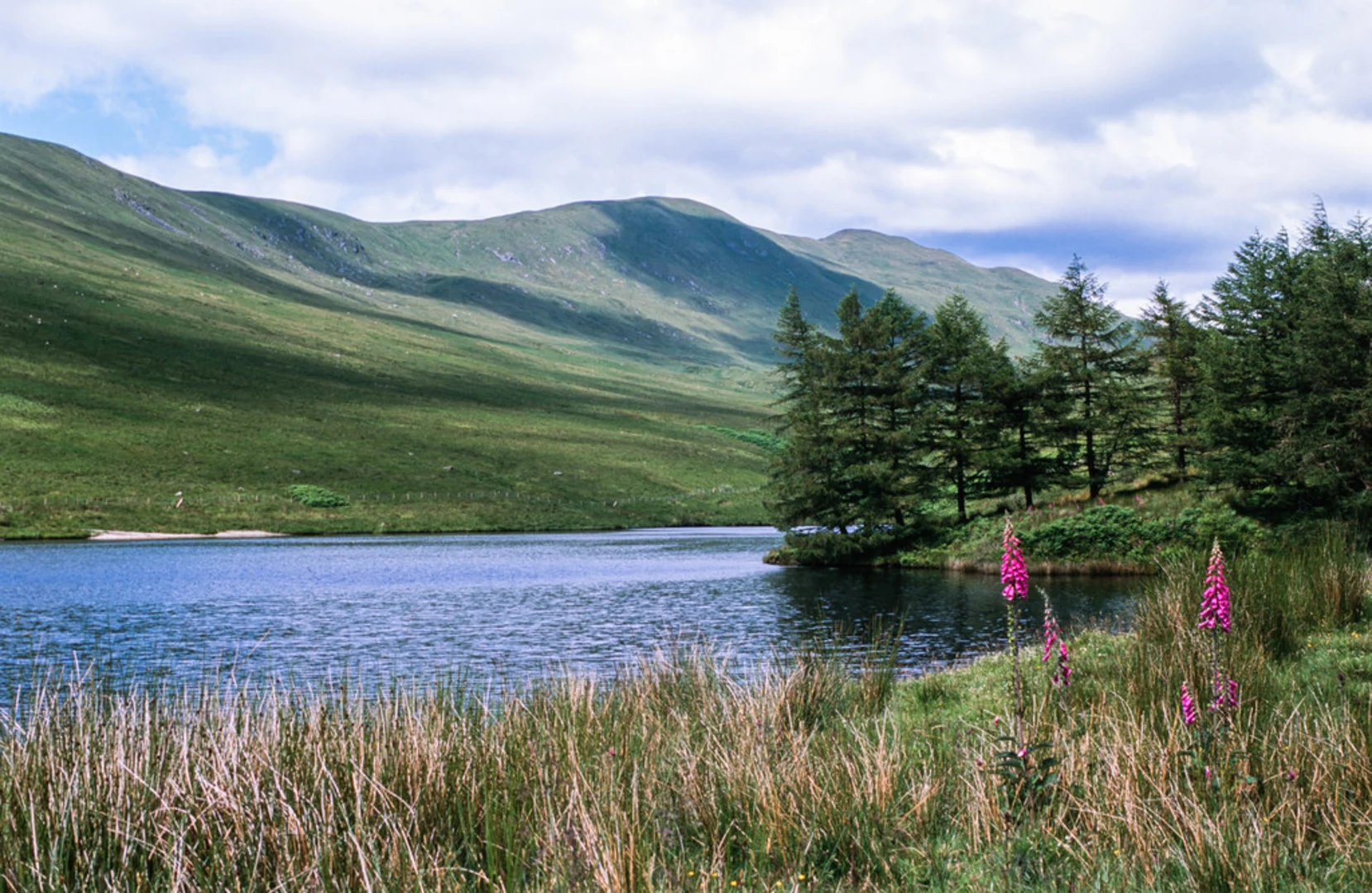 An image depicting the trail Luss Hills Walk and its surrounding area.