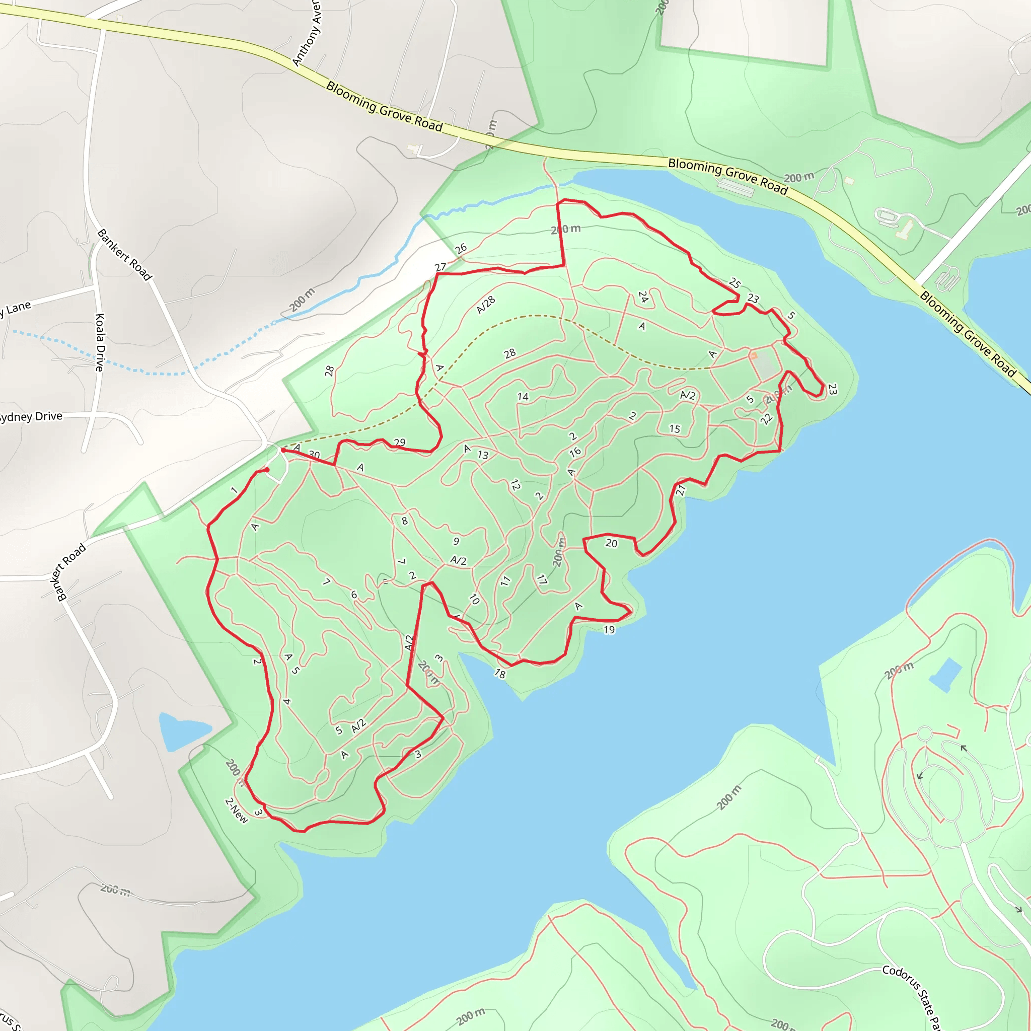 Wildasin Chapel Loop mobile static map