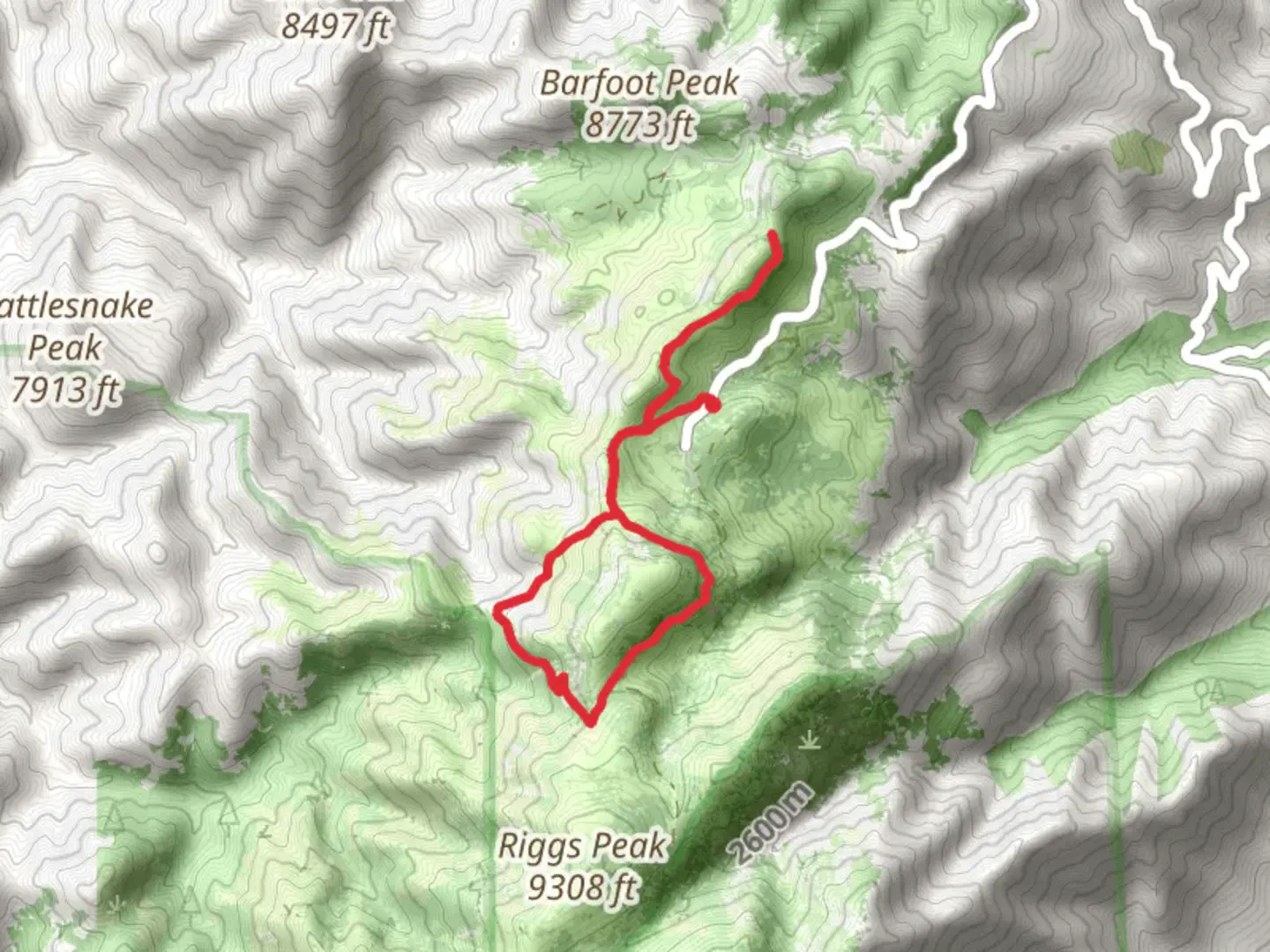An image depicting the trail Bootlegger and Barfoot Lookout Saddle and its surrounding area.