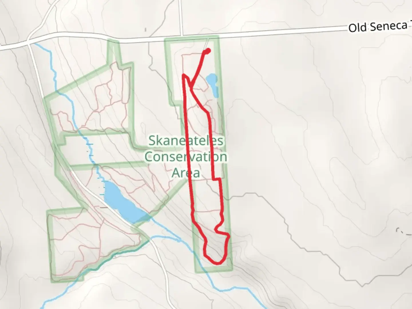 An image depicting the trail Gully Road Loop and its surrounding area.