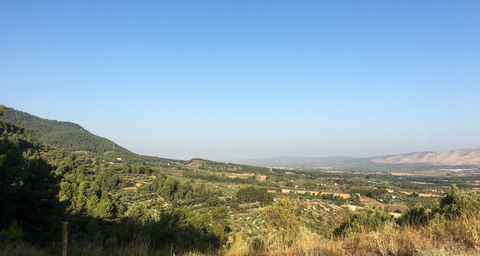 Banyeres - Moli l'Ombria - Banyeres PR CV 004