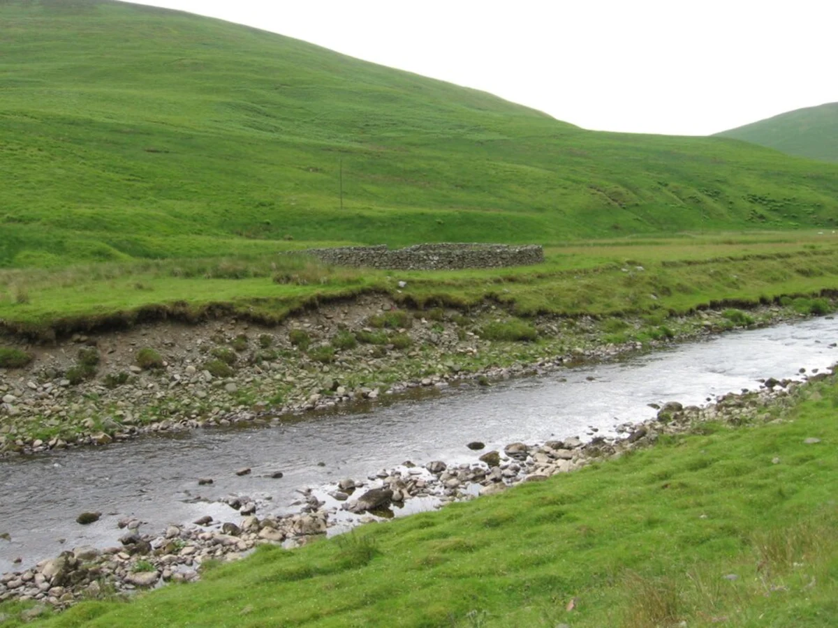 The Crown of Scotland