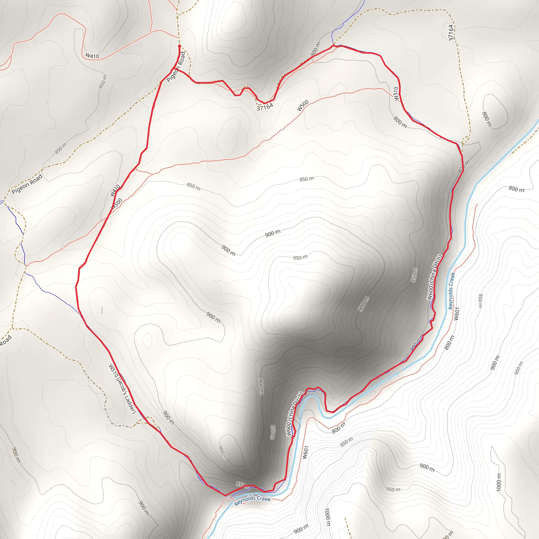 Loop beside Reynolds Creek from Pigeon Road mobile static map