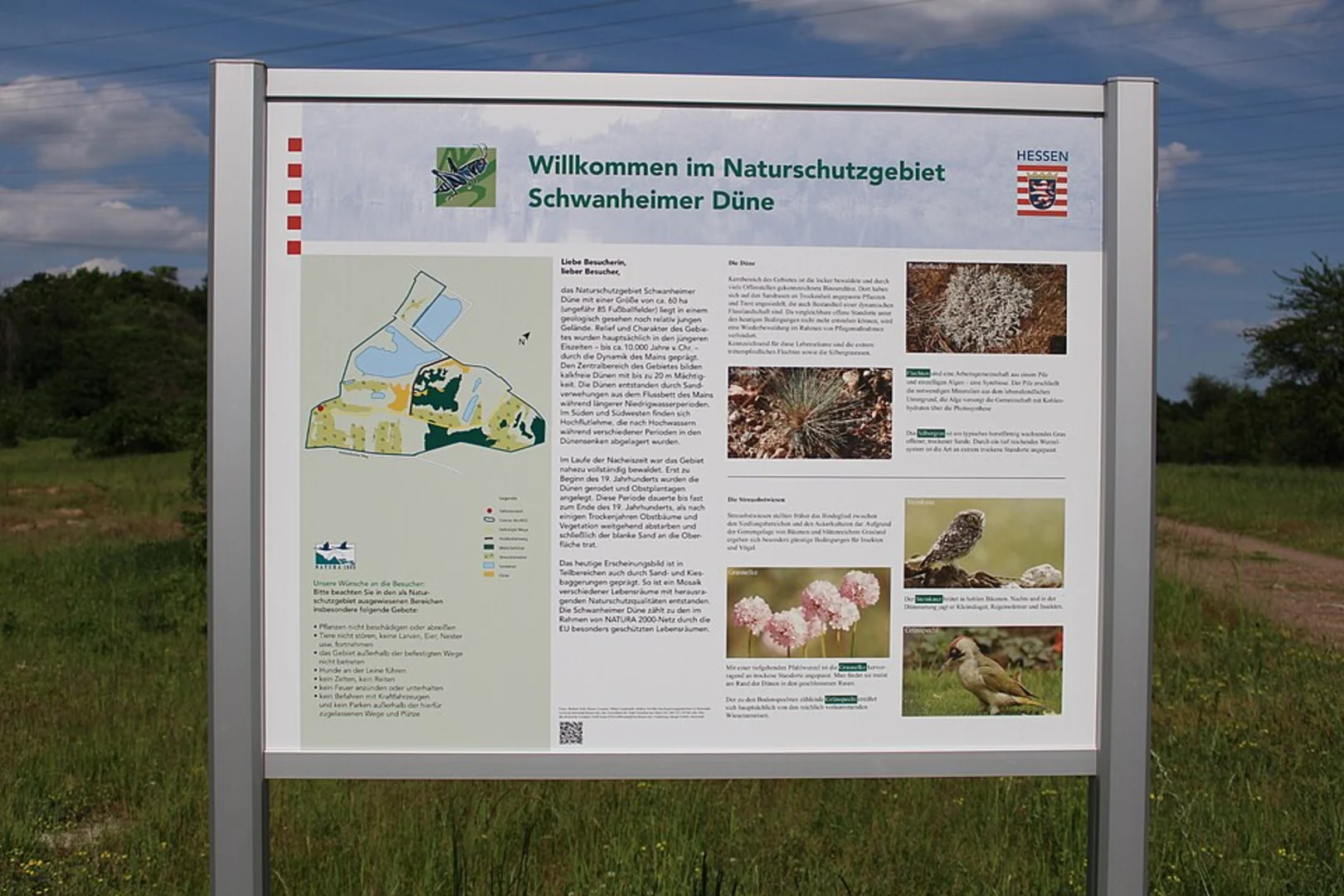 An image depicting the trail Schmitt'sche Grube and Schwanheimer Düne Loop and its surrounding area.