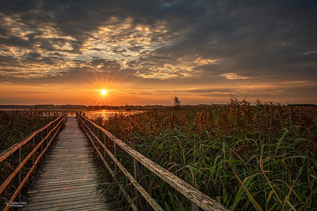 Stiftsmuseum, Federseemus and Federsee Walk