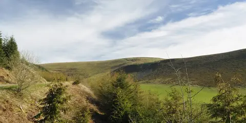An image depicting the trail Great Rhos and The Radnor Forest from New Radnor and its surrounding area.