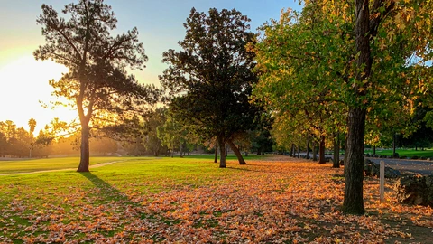 Ohlone Trail and Ridge Trail Loop