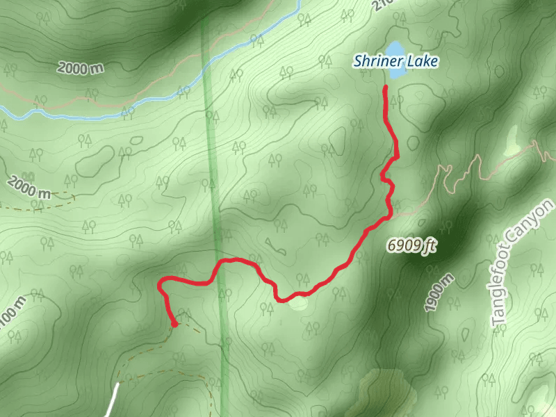 Shriner Lake via Tanglefoot Trail