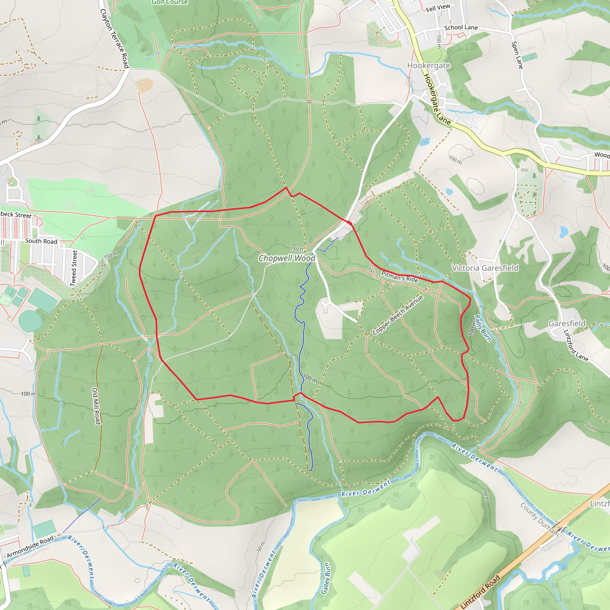 Chopwell Woods Loop mobile static map